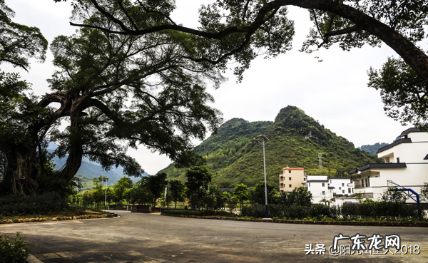 江西杨公风水村 杨公阳山小江风水记载
