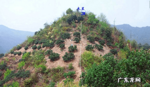 龙吸水风水格局 与龙有关的风水格局