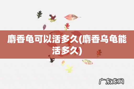 麝香乌龟能活多久 麝香龟可以活多久