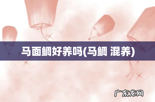 马鲷 混养 马面鲷好养吗