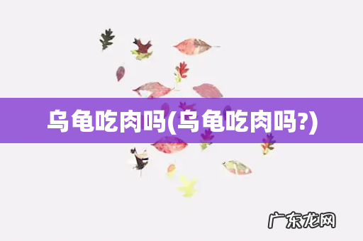 乌龟吃肉吗? 乌龟吃肉吗