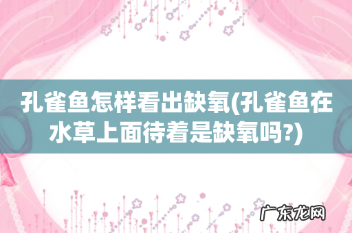 孔雀鱼在水草上面待着是缺氧吗? 孔雀鱼怎样看出缺氧