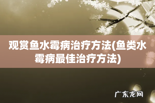 鱼类水霉病最佳治疗方法 观赏鱼水霉病治疗方法