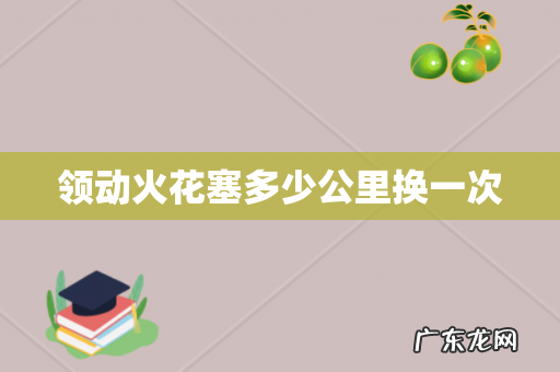 领动火花塞多少公里换一次
