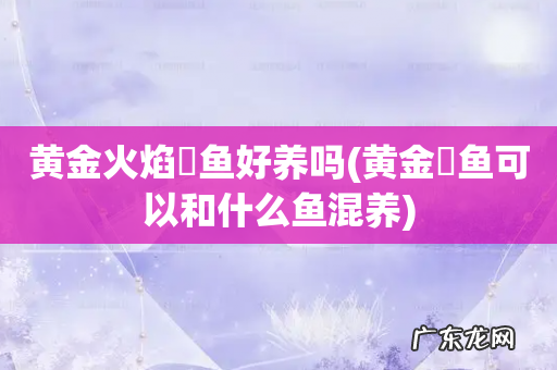 黄金鳉鱼可以和什么鱼混养 黄金火焰鳉鱼好养吗
