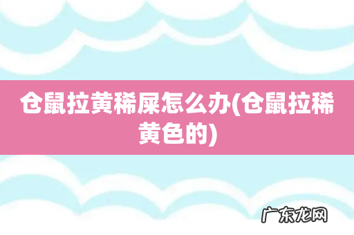仓鼠拉稀黄色的 仓鼠拉黄稀屎怎么办