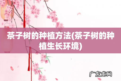 茶子树的种植生长环境 茶子树的种植方法