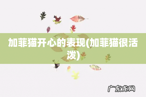 加菲猫很活泼 加菲猫开心的表现