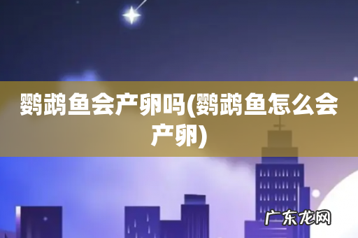 鹦鹉鱼怎么会产卵 鹦鹉鱼会产卵吗