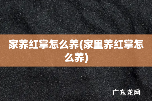 家里养红掌怎么养 家养红掌怎么养