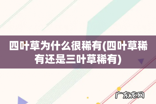 四叶草稀有还是三叶草稀有 四叶草为什么很稀有