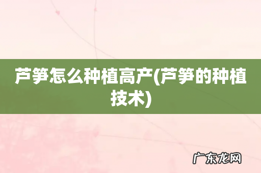 芦笋的种植技术 芦笋怎么种植高产