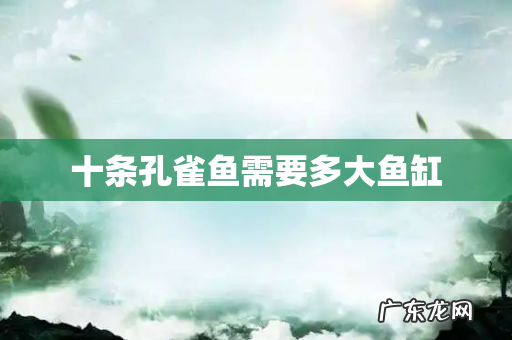 十条孔雀鱼需要多大鱼缸