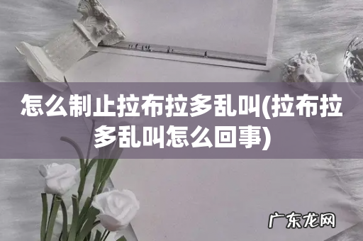 拉布拉多乱叫怎么回事 怎么制止拉布拉多乱叫