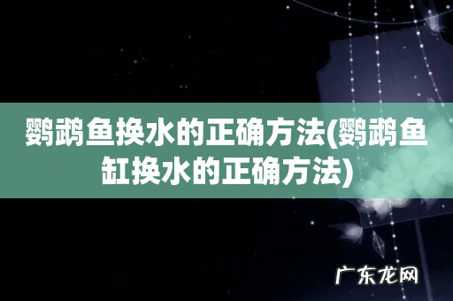 鹦鹉鱼缸换水的正确方法 鹦鹉鱼换水的正确方法
