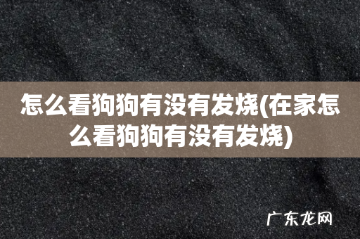 在家怎么看狗狗有没有发烧 怎么看狗狗有没有发烧