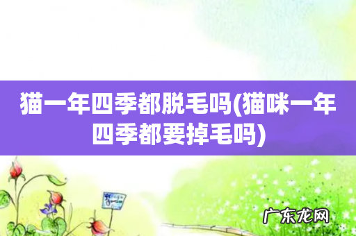 猫咪一年四季都要掉毛吗 猫一年四季都脱毛吗