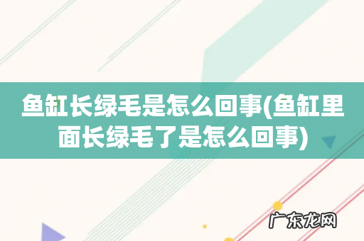 鱼缸里面长绿毛了是怎么回事 鱼缸长绿毛是怎么回事