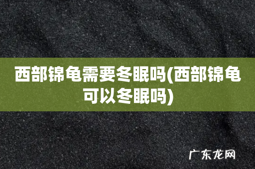 西部锦龟可以冬眠吗 西部锦龟需要冬眠吗