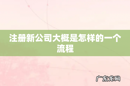 注册新公司大概是怎样的一个流程