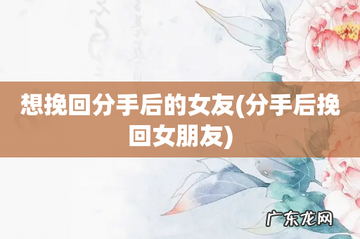 分手后挽回女朋友 想挽回分手后的女友