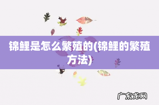 锦鲤的繁殖方法 锦鲤是怎么繁殖的