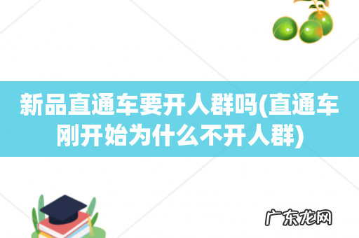 直通车刚开始为什么不开人群 新品直通车要开人群吗