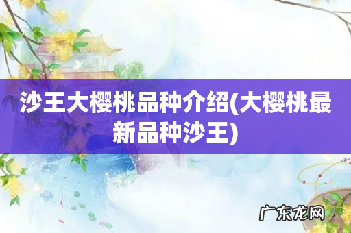 大樱桃最新品种沙王 沙王大樱桃品种介绍
