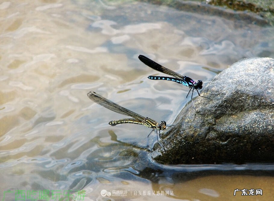 百色王侯风水留题 田东县风水留题