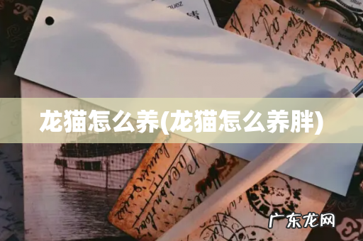 龙猫怎么养胖 龙猫怎么养