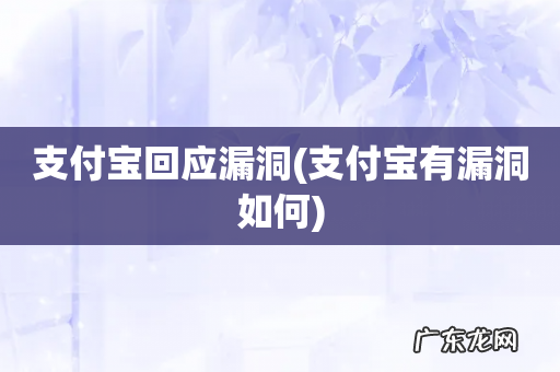 支付宝有漏洞如何 支付宝回应漏洞