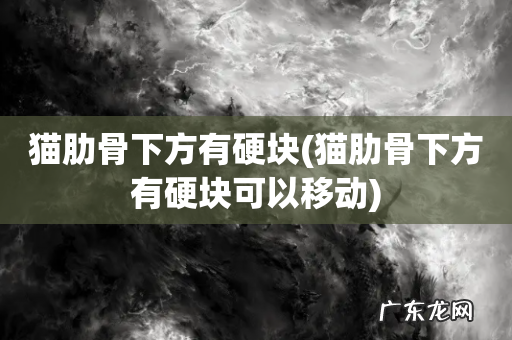猫肋骨下方有硬块可以移动 猫肋骨下方有硬块