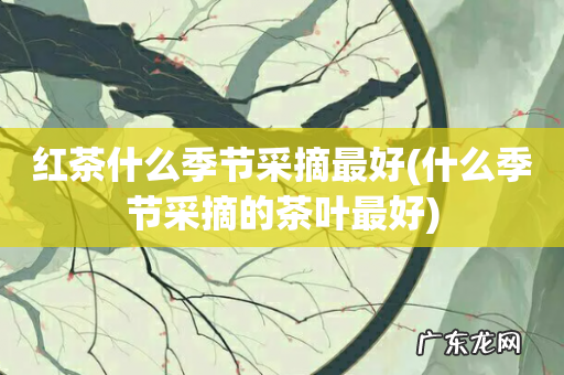 什么季节采摘的茶叶最好 红茶什么季节采摘最好