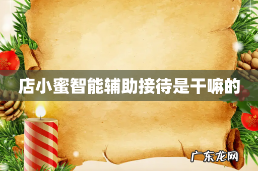 店小蜜智能辅助接待是干嘛的