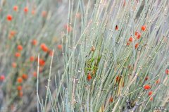 关于水的风水说法 皮水 风水