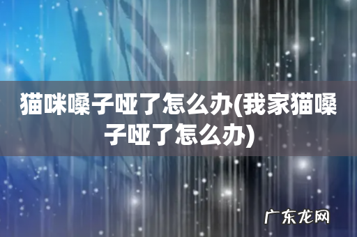 我家猫嗓子哑了怎么办 猫咪嗓子哑了怎么办