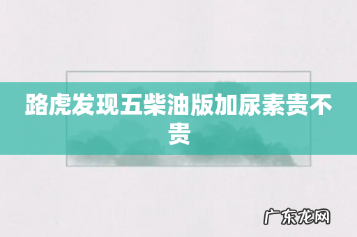 路虎发现五柴油版加尿素贵不贵