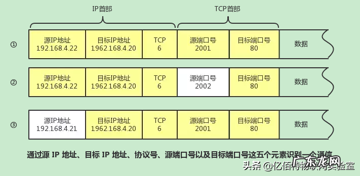 电脑上网知识大全 计算机网络 知识