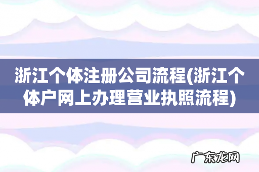 浙江个体户网上办理营业执照流程 浙江个体注册公司流程
