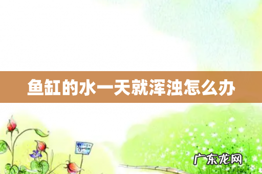鱼缸的水一天就浑浊怎么办
