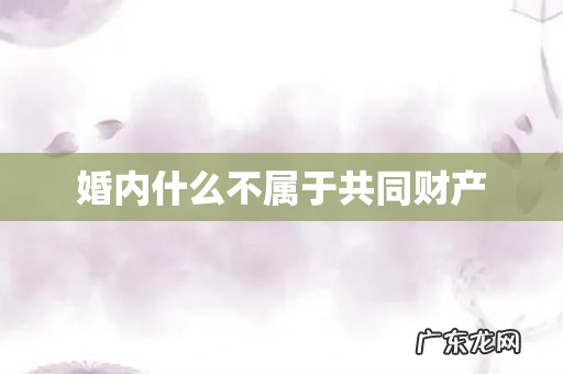 婚内什么不属于共同财产