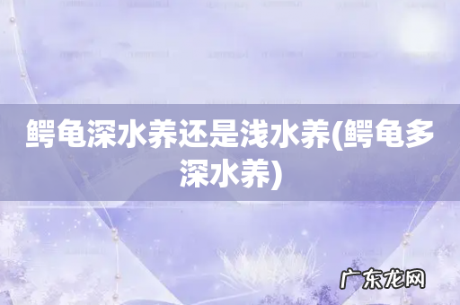 鳄龟多深水养 鳄龟深水养还是浅水养