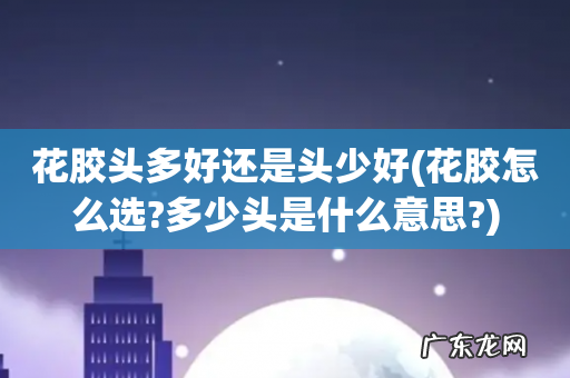 花胶怎么选?多少头是什么意思? 花胶头多好还是头少好