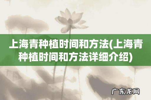 上海青种植时间和方法详细介绍 上海青种植时间和方法