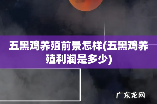 五黑鸡养殖利润是多少 五黑鸡养殖前景怎样