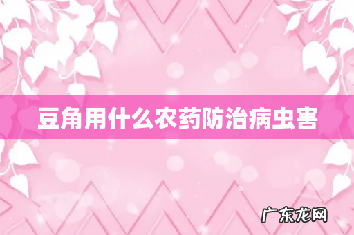 豆角用什么农药防治病虫害