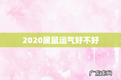 2020属鼠运气好不好
