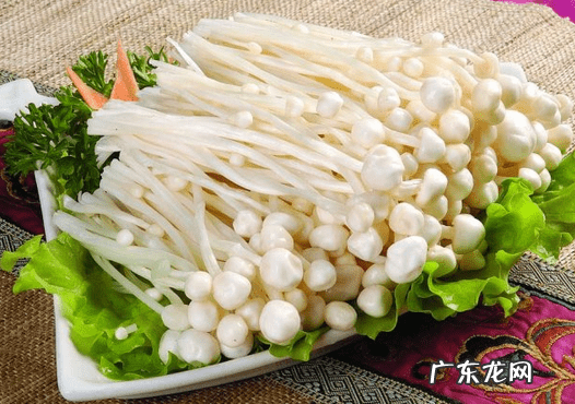 孕妇能吃菌类 孕妇能吃菌类食物吗?