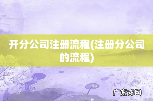 注册分公司的流程 开分公司注册流程