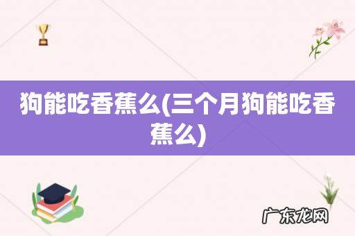 三个月狗能吃香蕉么 狗能吃香蕉么